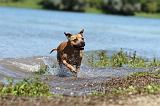 STAFFIE 181